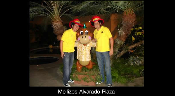 Mellizos Alvarado Plaza